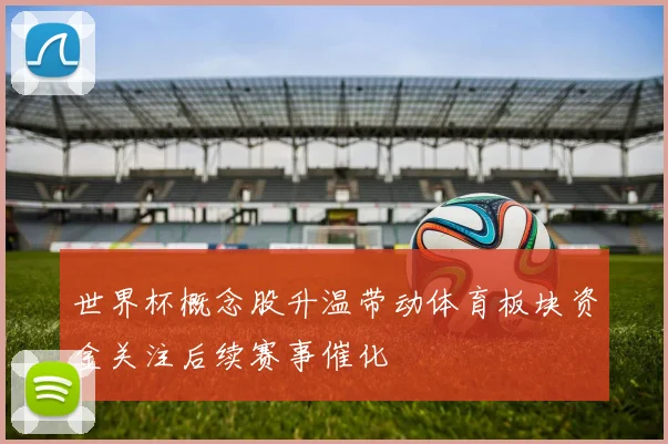 世界杯概念股升温带动体育板块资金关注后续赛事催化