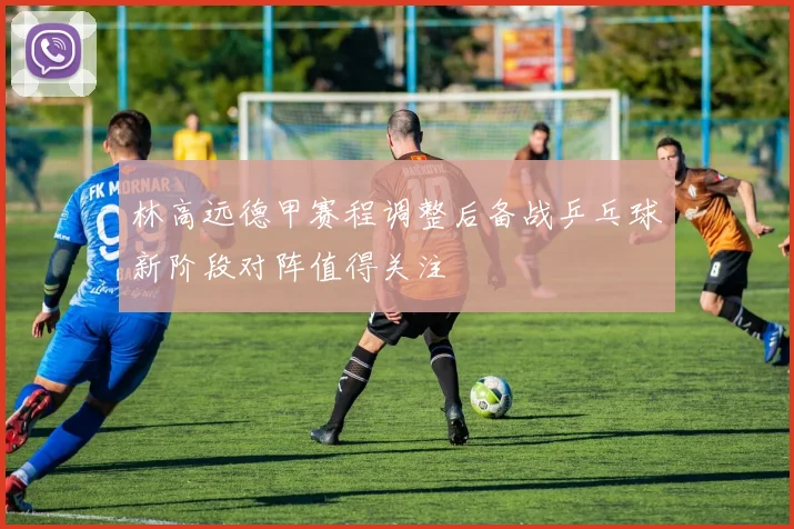 林高远德甲赛程调整后备战乒乓球新阶段对阵值得关注